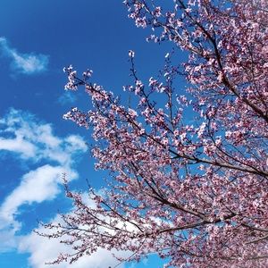 Meet your Posher, Antonio